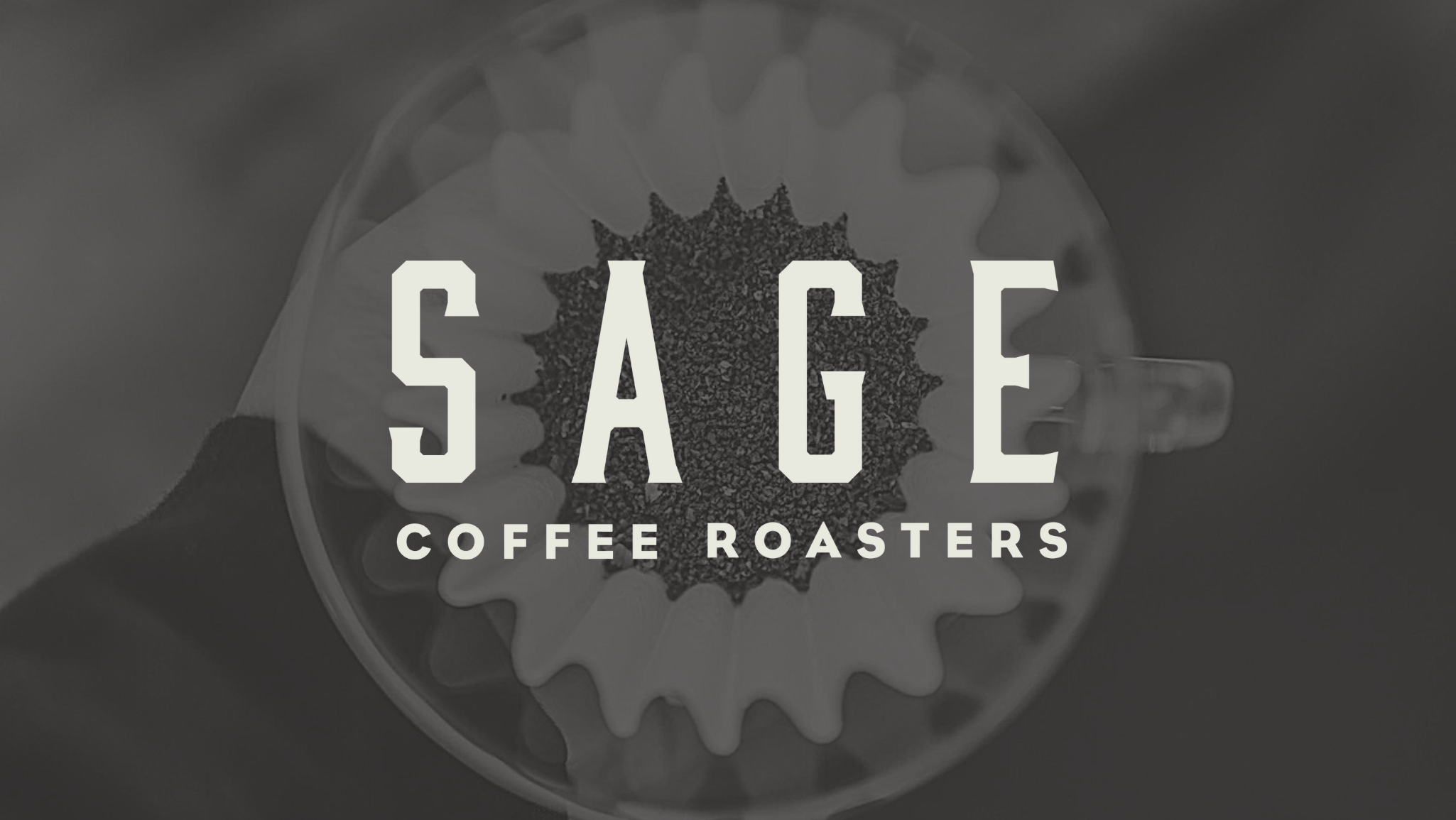 Cafetera Sage + Curso home barista 1 hora - Animal Coffee