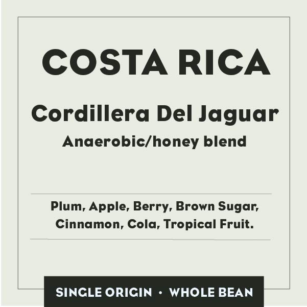 COSTA RICA Anaerobic/Honey Subscription